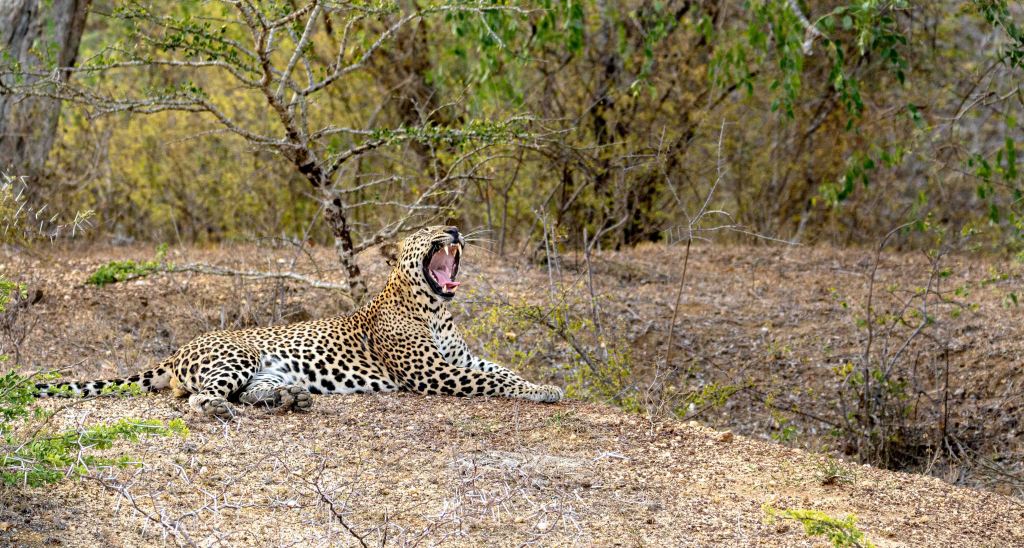 Tourism – boon or bane for the&nbsp;environment?