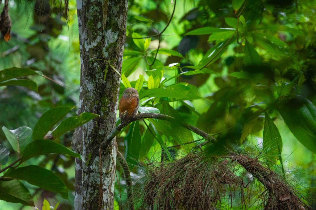 Are Birdwatchers Slightly&nbsp;Mad?